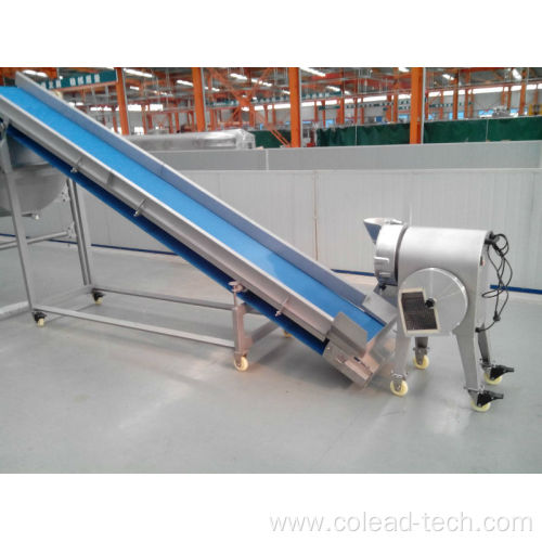 SUS 304 stainless steel vegetable and fruit conveyor